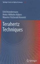 Terahertz Techniques