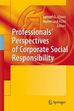 Professionals Perspectives of Corporate Social Responsibility