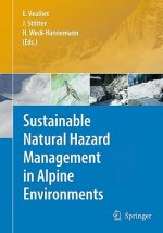 Sustainable Natural Hazard Management in Alpine Environments