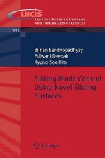 Sliding Mode Control Using Novel Sliding Surfaces
