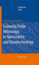 Scanning Probe Microscopy in Nanoscience and Nanotechnology 2