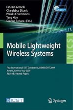 Mobile Lightweight Wireless Systems