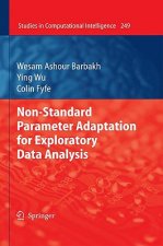 Non-Standard Parameter Adaptation for Exploratory Data Analysis