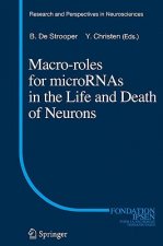 Macro Roles for MicroRNAs in the Life and Death of Neurons
