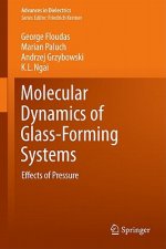 Molecular Dynamics of Glass-Forming Systems