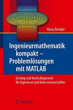 Ingenieurmathematik Kompakt - Probleml sungen Mit MATLAB