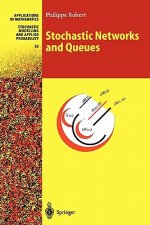 Stochastic Networks and Queues