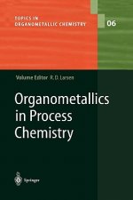 Organometallics in Process Chemistry