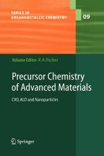 Precursor Chemistry of Advanced Materials