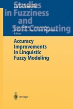 Accuracy Improvements in Linguistic Fuzzy Modeling