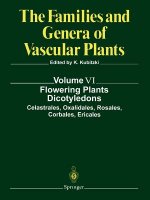 Flowering Plants. Dicotyledons