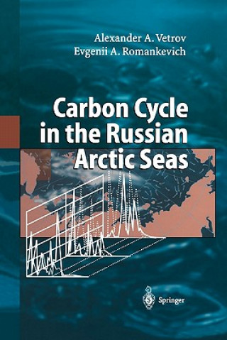 Carbon Cycle in the Russian Arctic Seas