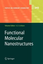 Functional Molecular Nanostructures