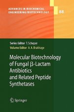 Molecular Biotechnology of Fungal ss-Lactam Antibiotics and Related Peptide Synthetases