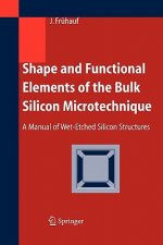 Shape and Functional Elements of the Bulk Silicon Microtechnique