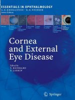 Cornea and External Eye Disease