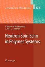 Neutron Spin Echo in Polymer Systems