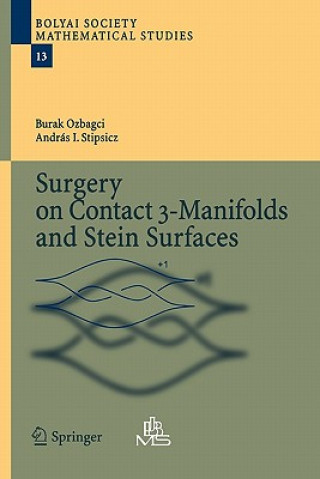 Surgery on Contact 3-Manifolds and Stein Surfaces