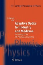 Adaptive Optics for Industry and Medicine