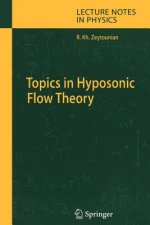 Topics in Hyposonic Flow Theory