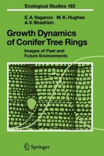 Growth Dynamics of Conifer Tree Rings