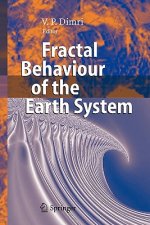 Fractal Behaviour of the Earth System