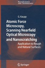 Atomic Force Microscopy, Scanning Nearfield Optical Microscopy and Nanoscratching