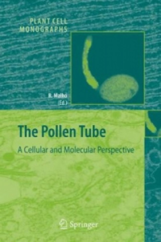 Pollen Tube