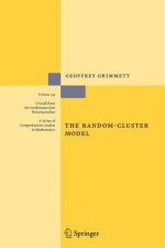 Random-Cluster Model