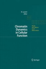 Chromatin Dynamics in Cellular Function