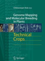 Technical Crops