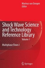 Shock Wave Science and Technology Reference Library, Vol. 1