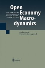 Open Economy Macrodynamics