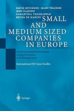 Small and Medium Sized Companies in Europe