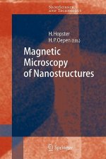 Magnetic Microscopy of Nanostructures