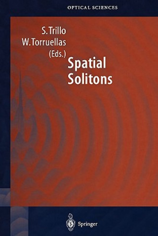 Spatial Solitons