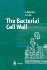 Bacterial Cell Wall