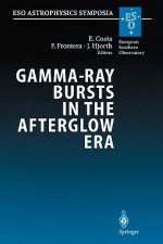 Gamma-Ray Bursts in the Afterglow Era
