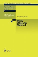 Theory of Operator Algebras II