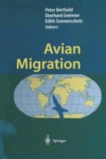 Avian Migration