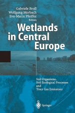 Wetlands in Central Europe