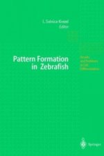 Pattern Formation in Zebrafish