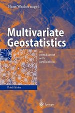 Multivariate Geostatistics