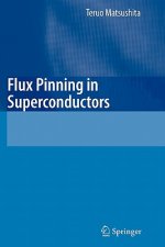 Flux Pinning in Superconductors