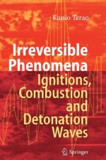 Irreversible Phenomena