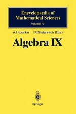 Algebra IX