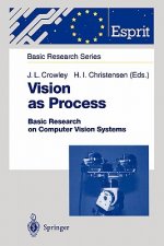 Vision as Process