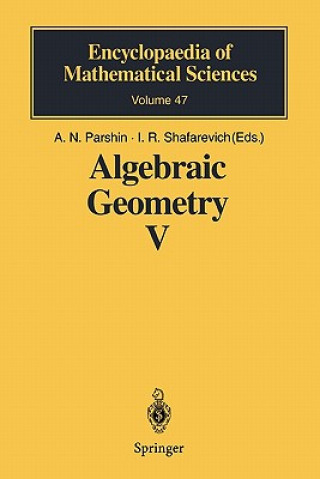 Algebraic Geometry V