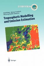 Tropospheric Modelling and Emission Estimation