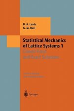 Statistical Mechanics of Lattice Systems